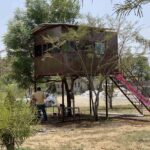 Tree House